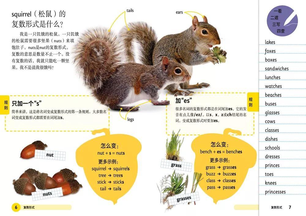 假想效有实力不堪一击没刺激是什么生肖的警惕虚假宣传-全面释义、构建解答解释落实
